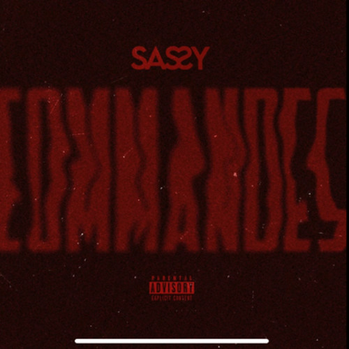 Sassy- COMMANDES
