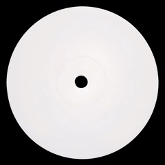 the dub groove