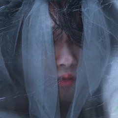 Cha Hyun - Bù 不 (ArtSaves Remix)