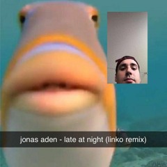 Jonas Aden - Late At Night (Linko Remix)
