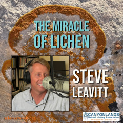 The Miracle of Lichen