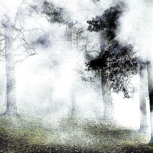 Manipulation prod @Z3ak