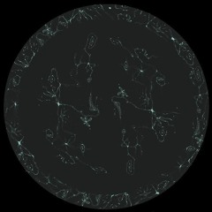 PREMIERE: Stereometrix - IO [Tread A Measure}