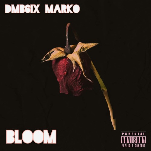 Bloom