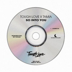 So Into You (Extended Mix)