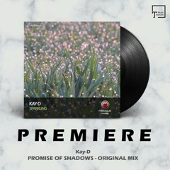 PREMIERE: Kay-D - Promise Of Shadows (Original Mix) [MISTIQUE MUSIC]