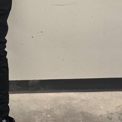 (pink goyard duffle)