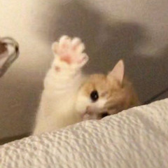 i don’t recognize you any more