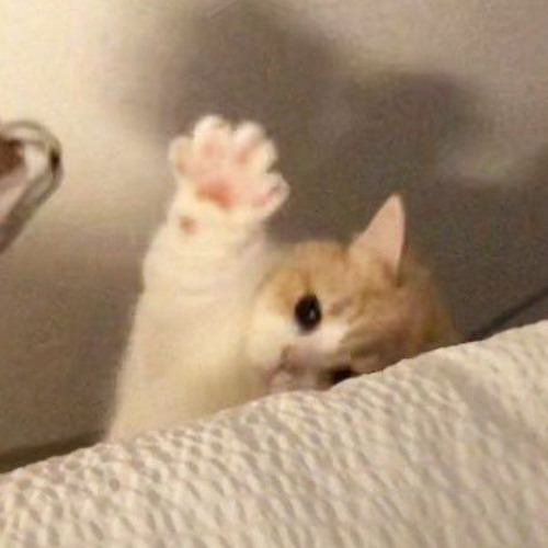 i don’t recognize you any more