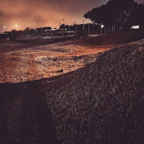 Appetite For Selection 099