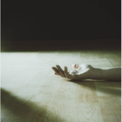 Paloma Never Returned