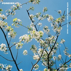 FOREVER - 1020 RADIO - 12.03.21