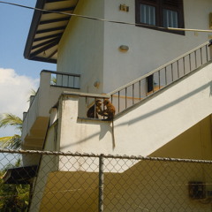 Schere, Stein, Papier