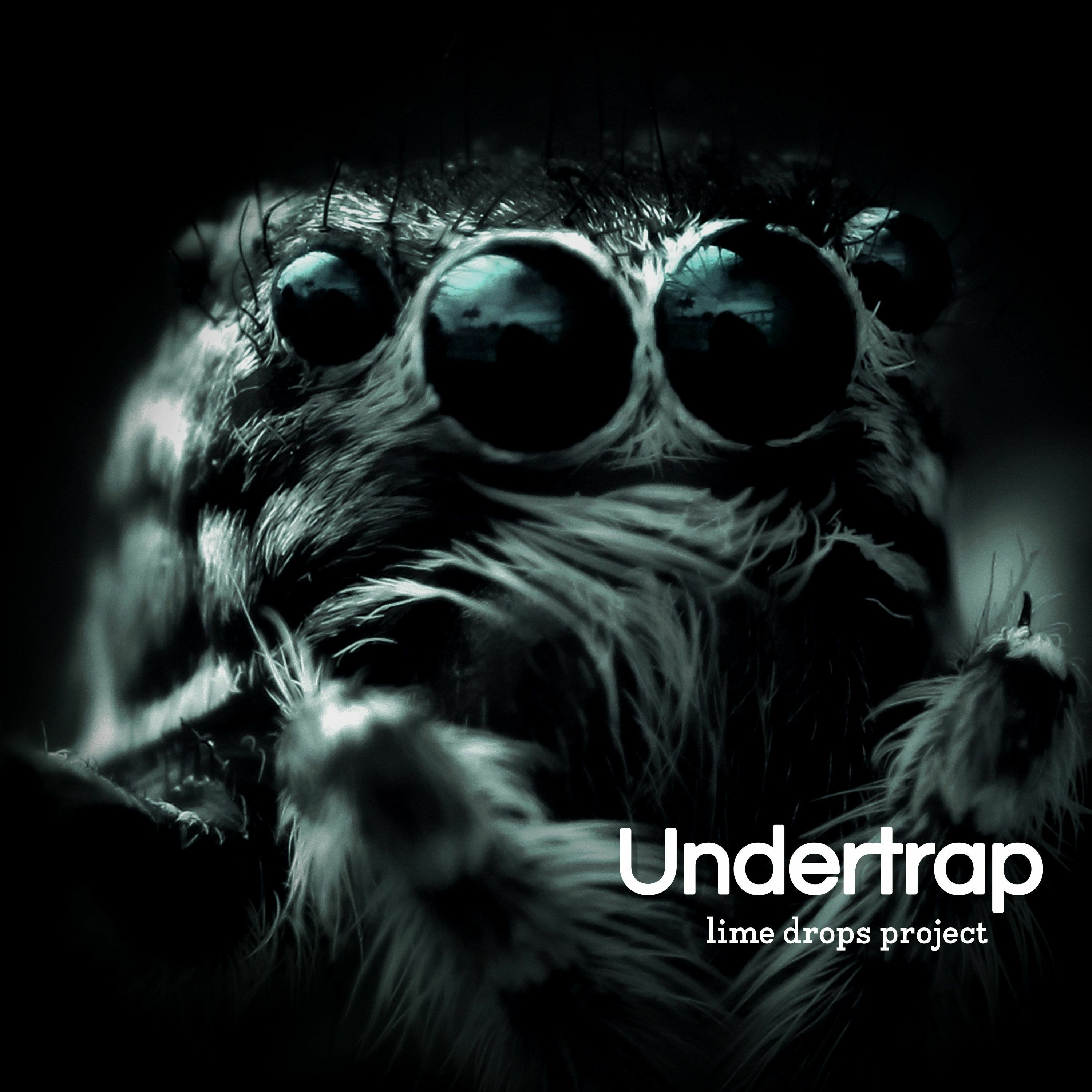 Undertrap