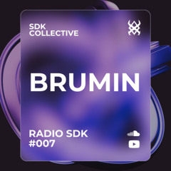 RADIO SDK #007: Brumin