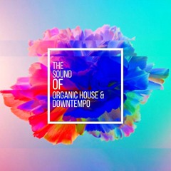 The Sound Of Organic House & Downtempo Vol.4 by Kurt Kjergaard