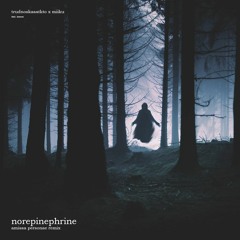trudnoskasatkto x miiku - norepinephrine (feat. kensei) (amissa personae remix)