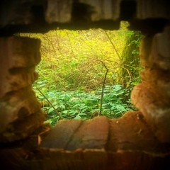 Among The Leaves (1)