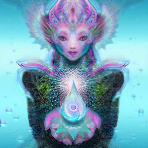 cali shrooms 2k23 (p. alyx)