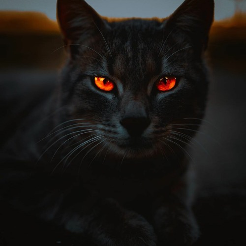 •ANGGOTANA AMBO NAI' -Mengalah -2 AL DATUNUGU •[MR]ClbsGnrtz •LESUNOOOO