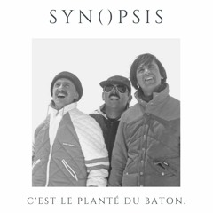 Synopsis - Les Bronzés (summer 2016)