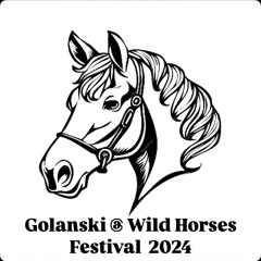 DJ Golanski @ Wild Horses Festival 2024