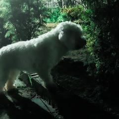 00h15 remix [croagpunk]