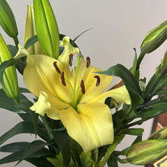 mua xuan dau tien ngày 13 thg 2, 2025.m4a