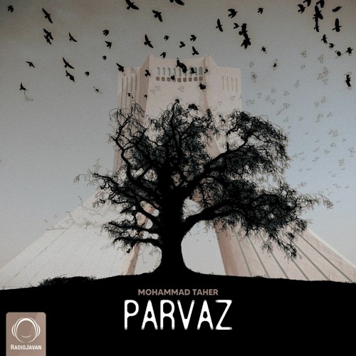 Its-A-REVOLUTION-Not-a-revolt