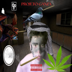 Projeto Ganza