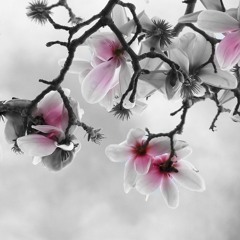 How Sweet The Sound (Amazing Grace Echo)