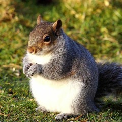 МНЕ КАЖЕТСЯ