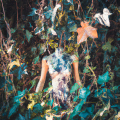 Metamorfose (Nautilus Pompilius cover)