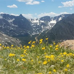 Best Rocky Mountain National Park In Summer Tour From Denver Tours Review