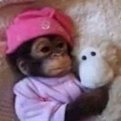 Cookin By The Book (Lazy Town) Cover - Chris Allen Hess Feat KTHESCREAMER & Rian Cunningham.mp3