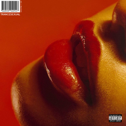 PREMIERE: Yummy Cat - Sweet Melodies