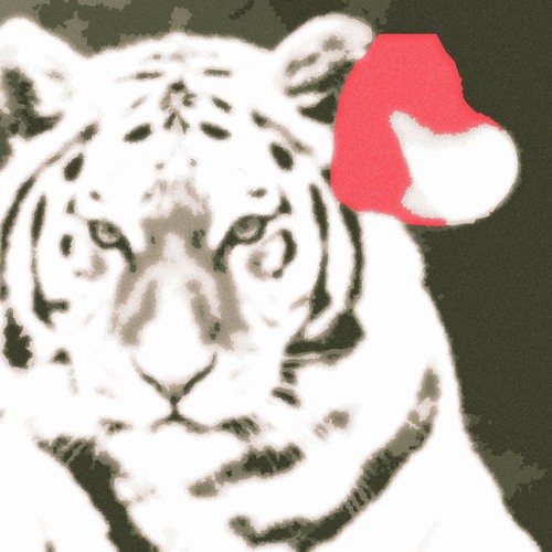 Tigers In Tow <3