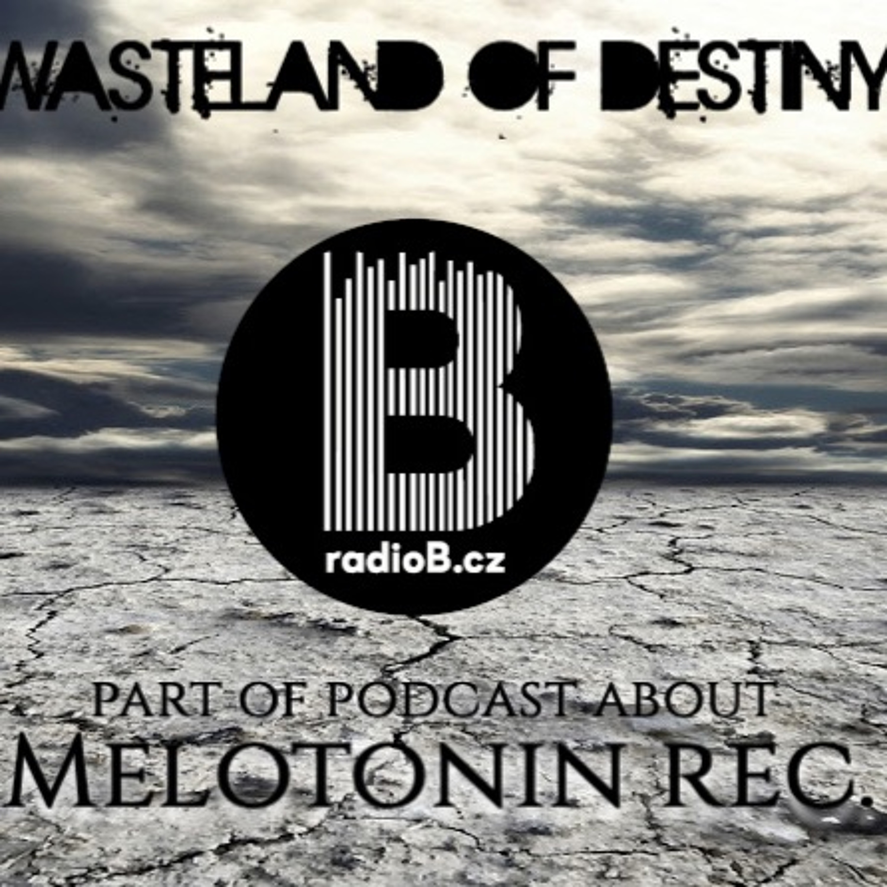 Wasteland of Destiny - Melotonin episode artwork
