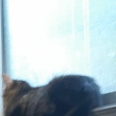 One Of Life's Many Indecision's