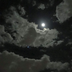 وكل أمرك - مساعد الرشيدي