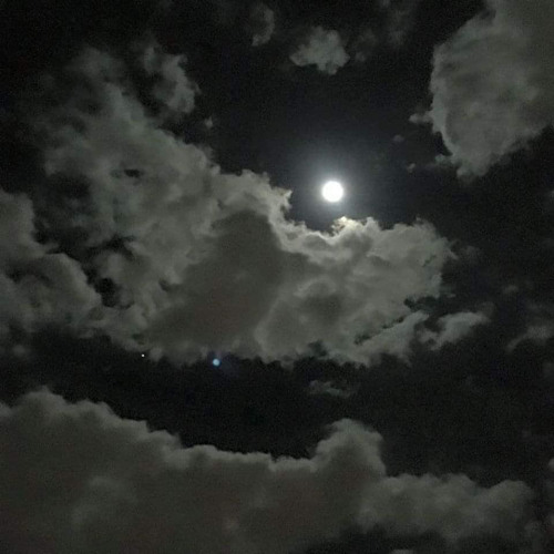 وكل أمرك - مساعد الرشيدي