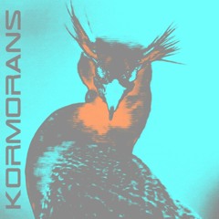 Kormorans
