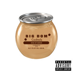 BITCH! [W/ KIDx X KOKO X 6ARRI] (PROD. FONY WALLACE)