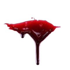 BLOOD ON MY  KICKS