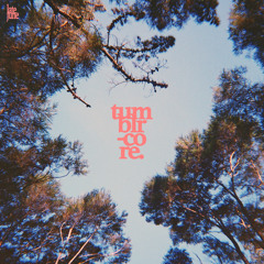 it's 4am & you haven't even touched your everything bagel