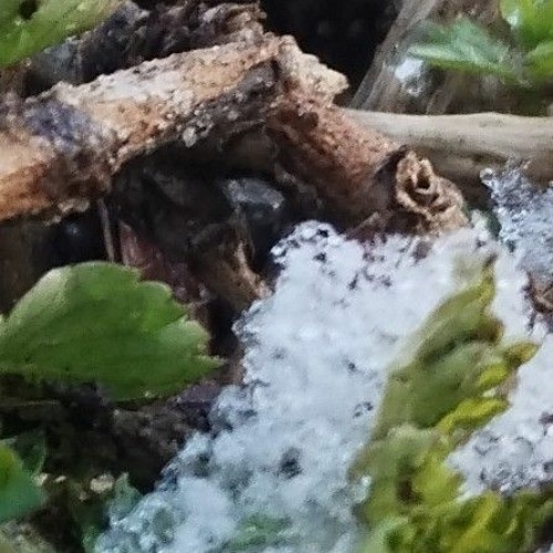 YOUNGCZEŚ #Hot16Challenge2