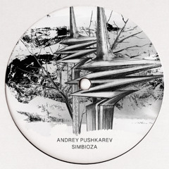 ANDREY PUSHKAREV - "SIMBIOZA" (feat. Mihai Popoviciu, Eli Verveine, THOR & SVETTI)
