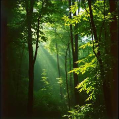 the Organic Green Light