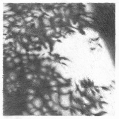 Late June Night (Edit)