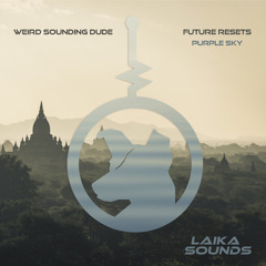Premiere: Weird Sounding Dude - Purple Sky [LAIKA Sounds]